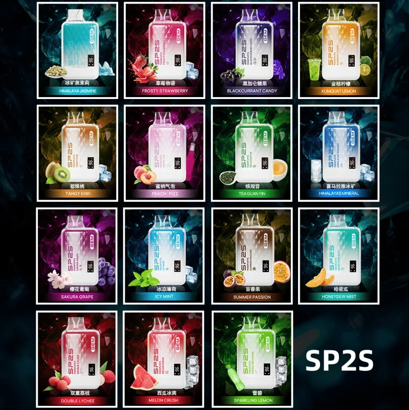 sp2s9000口拋棄式電子煙