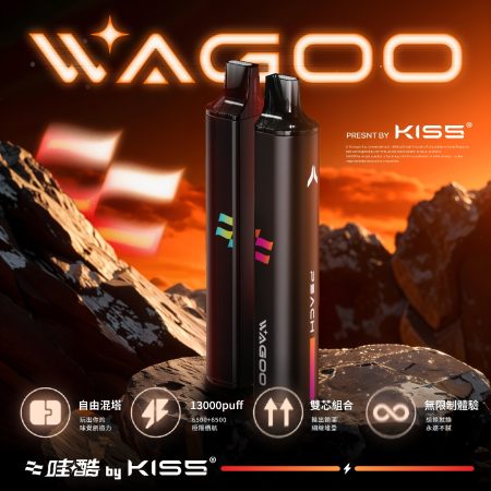 哇酷WAGOO-6500口-KISS原廠6500同款-兩種口味一起抽-買10隻送1隻